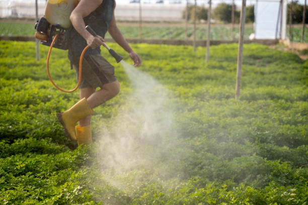 Best Residential Pest Control  in Firebaugh, CA
