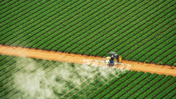 Best Pest Removal Services  in Firebaugh, CA