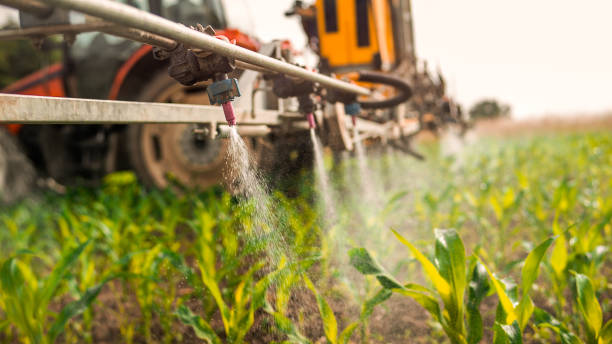 Firebaugh, CA Pest Control Company